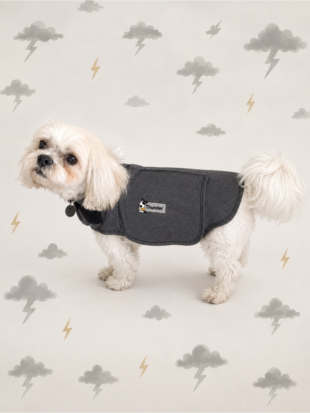 Thundershirt Gray Calming Coat Jacket Size Medium But Fits Smaller Dogs too.